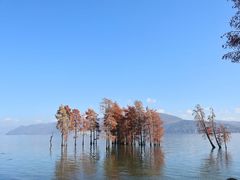 -大理洱海