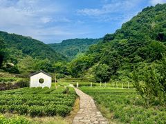 -十九峰景区-倒脱靴