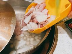 -润园四季椰子鸡火锅(海上世界店)