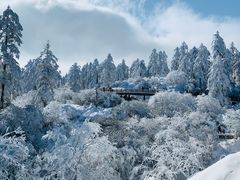 -瓦屋山景区
