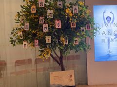 -红舞鞋舞蹈教育(近江校区)