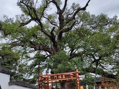 -新安江山水画廊风景区
