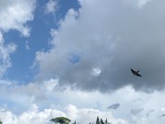 -荔枝公园(福田区)