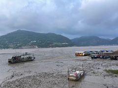 -北岐滩涂