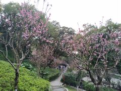 -乌山风景区