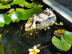 -西涌国际滨海旅游区