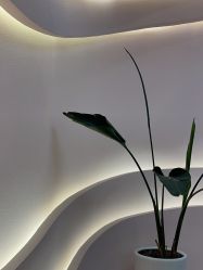 -MUSES专业脱毛比基尼サロン日式连锁