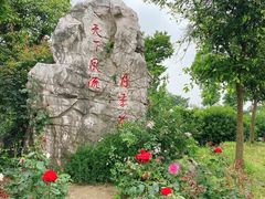 -鹅湖玫瑰文化园