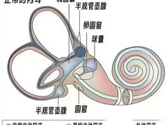 -自然之声助听器·呼吸机(和平店)