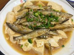 -杨记新泉美食