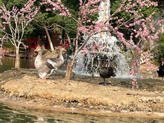 -张公山寨景区