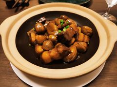 -觅唐MITONG(鸟巢店)