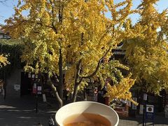 -奇芳阁·百年清真南京菜(夫子庙店)