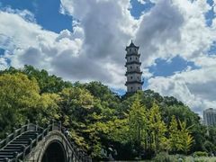 -江心屿景区