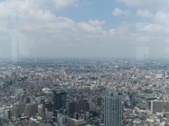 -东京都厅舍