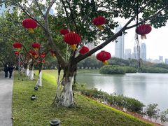 -万绿园