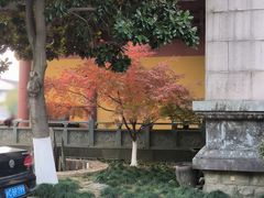 -上海东林寺(金山区)