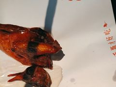 -鸽子侯·家宴·平价海鲜(市图书馆店)