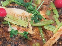 -老板恋上鱼(恒隆广场店)