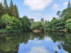 -东平国家森林公园