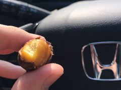 -阿男野栗王(金门路店)