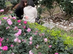 -人民公园(罗湖区)