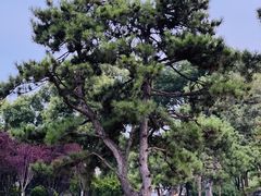 -西安市广仁寺