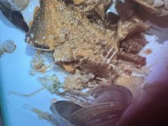 -上海虹桥宾馆味翠餐厅