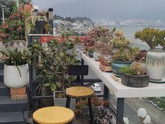 -野菌皇海景野生菌火锅(滨海大道店)