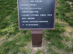 -元大都城垣遗址公园