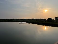 -西京湾花海