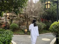 -深业半汤御泉庄温泉