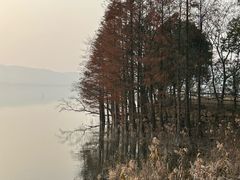 -四明湖