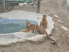 -栾川竹海野生动物园