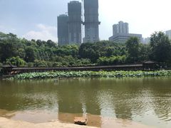-龙头寺公园