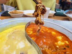 -青瓷火锅料理(西单大悦城店)