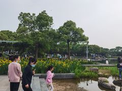 -蠡湖大桥公园