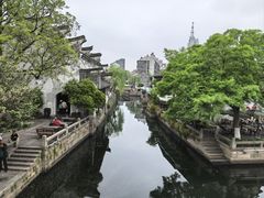 -真真老老(月河花鸟市场店)