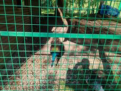 -华东政法大学(松江校区)