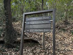 -上海佘山国家森林公园西佘山园