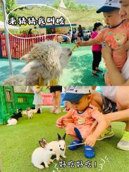 -萌宠亲子动物乐园(槐房万达店)