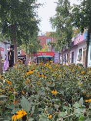 点击看大图 -爱儿美儿童摄影亲子馆(五路居店)