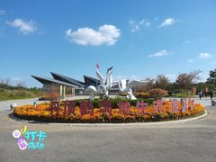 -盐城丹顶鹤湿地生态旅游区