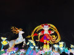 -武汉园博园(武汉自然博物馆)