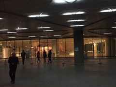 -哈尔滨大剧院