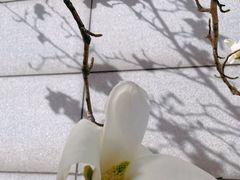 -中国中医科学院西苑医院(本部)