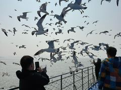 -海驴岛(荣成市)