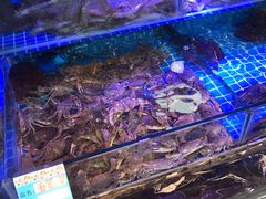 水产区-渔民船说·北塘海鲜·天津菜·海肠捞饭(北塘古镇店)
