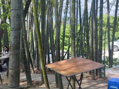 -金水泊山庄·花椒鸡(铁山坪店)