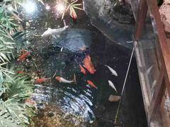 -聚缘堂·海鲜私房菜(松岭路店)